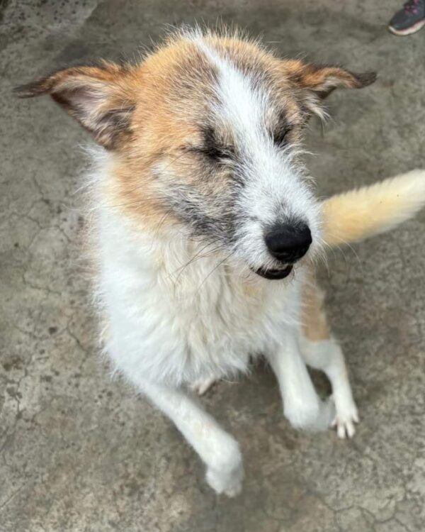 Markus sucht ein Zuhause
